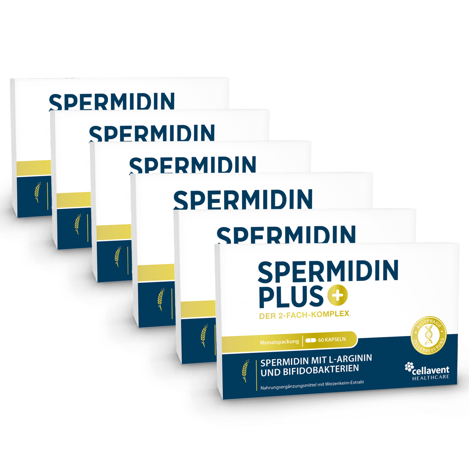 Weizenkeimextrakt - Kapseln mit 2 - fach Komplex - Spermidin PLUS - Cellavent Healthcare