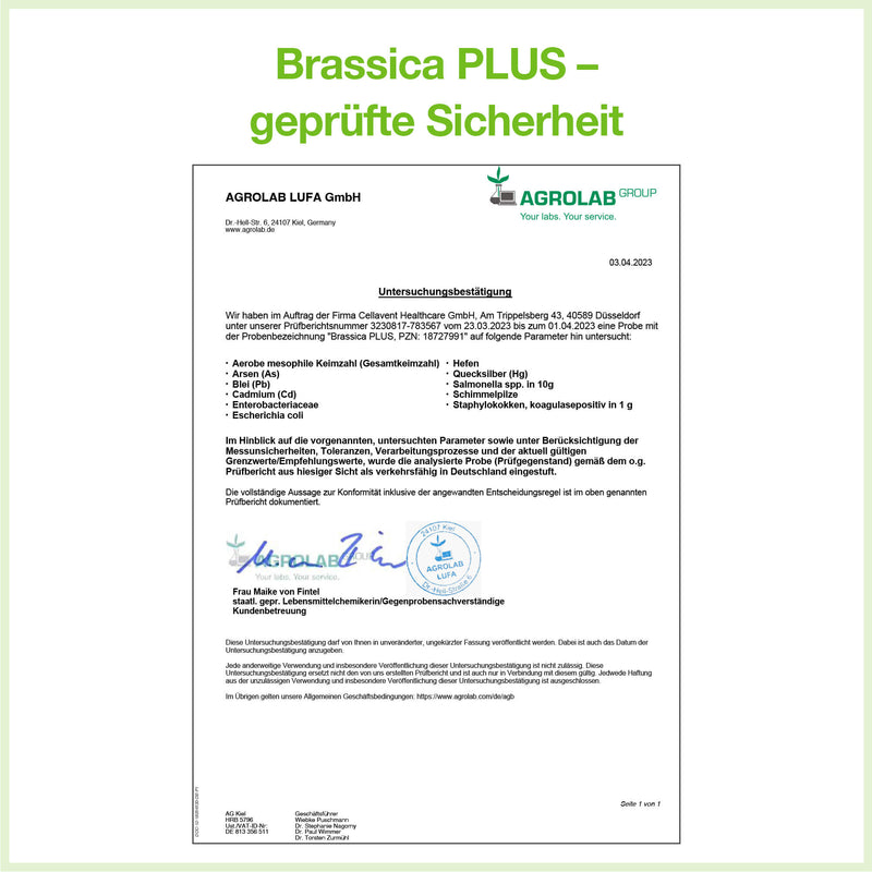 Brassica Plus Prüfbericht 2023