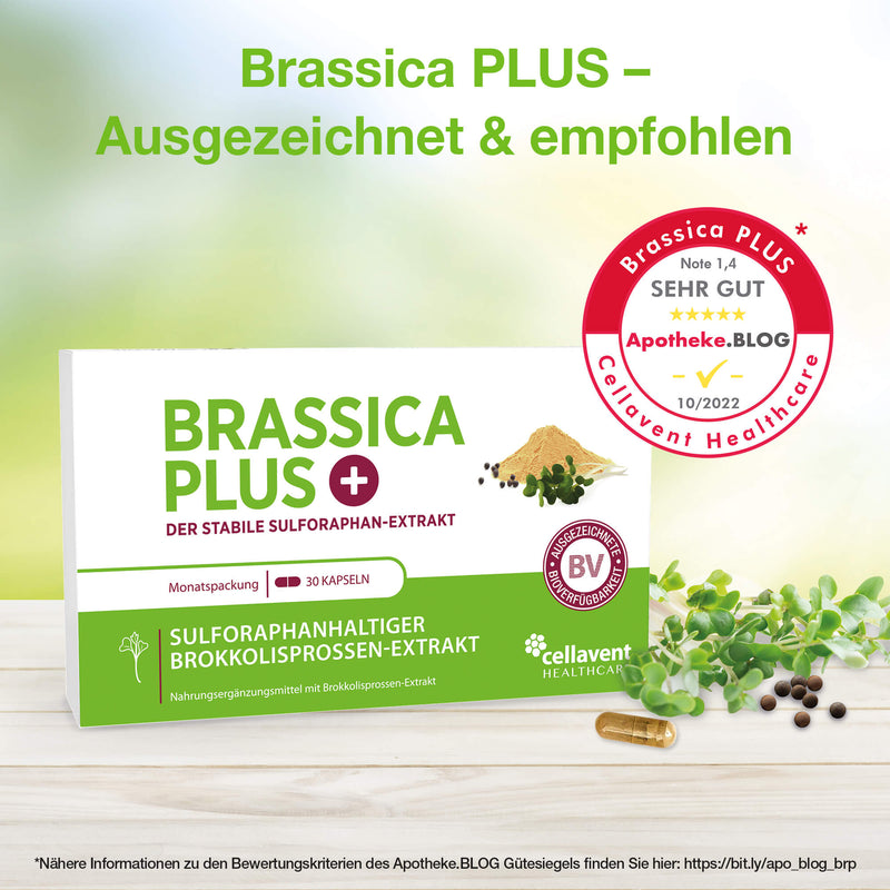 Die Verpackung von Brassica PLUS ist frontal zu sehen. Darüber steht die Überschrift und oben rechts ist das Apotheken-Blog-Siegel abgebildet.