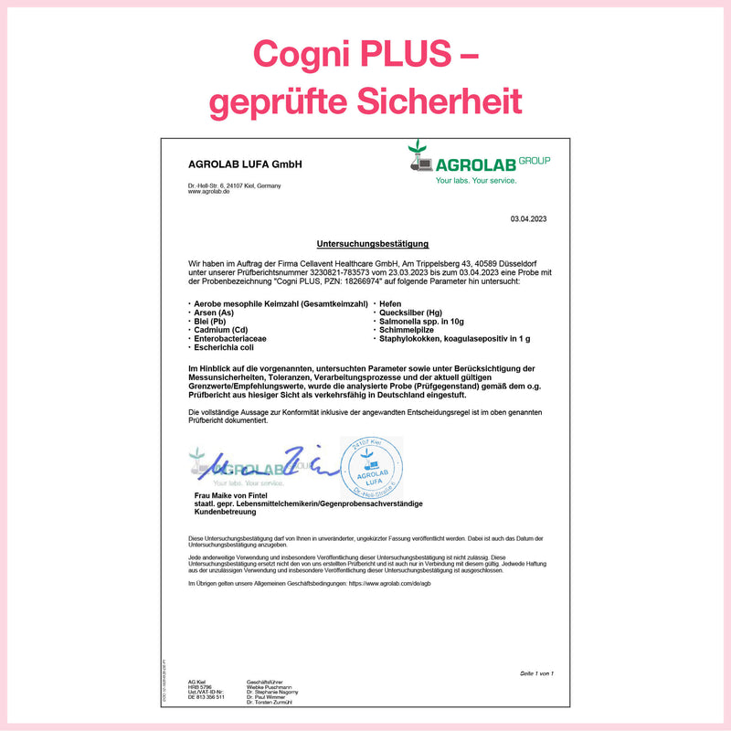 Cogni Plus Prüfbericht 2023
