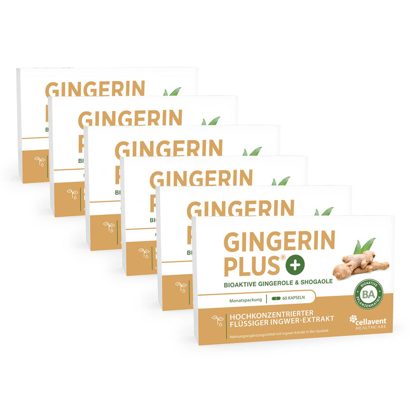 Sechs hintereinander stehende Gingerin PLUS Verpackungen mit insgesamt 360 hochkonzentrierten Ingwer-Extrakt-Kapseln.