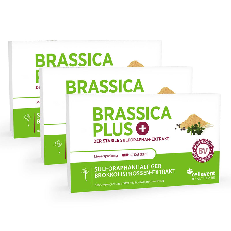 Drei hintereinander stehende Brassica PLUS Verpackungen mit insgesamt 90 hochkonzentrierten Brassica PLUS Kapseln Inhalt.