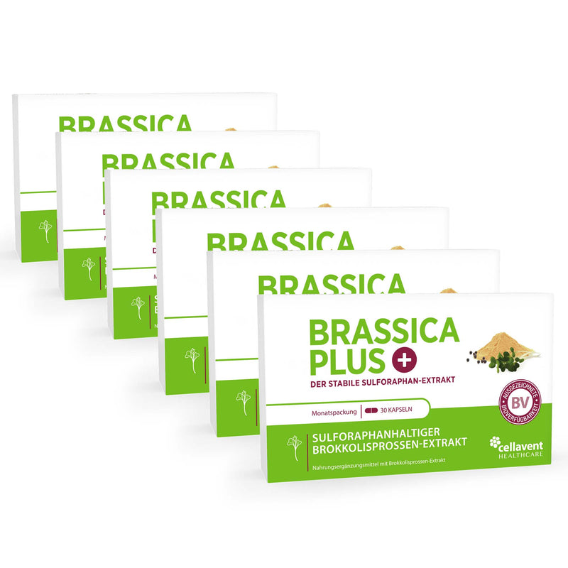 Sechs hintereinander stehende Brassica PLUS Verpackungen mit insgesamt 180 hochkonzentrierten Brassica PLUS Kapseln Inhalt.