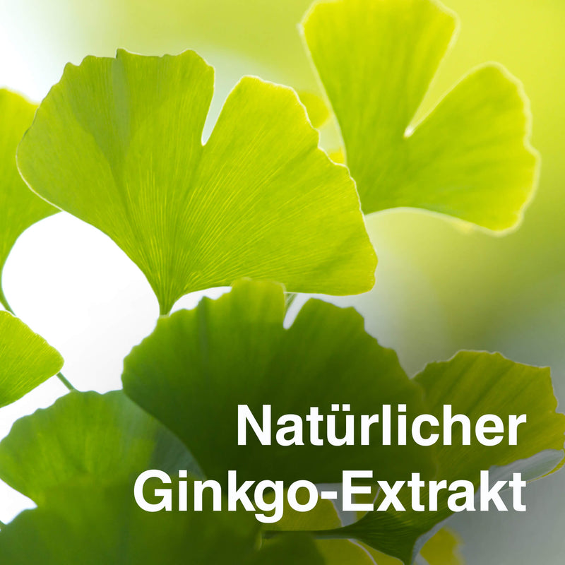 Gingko Plus natuerliches Gingko-Extrakt