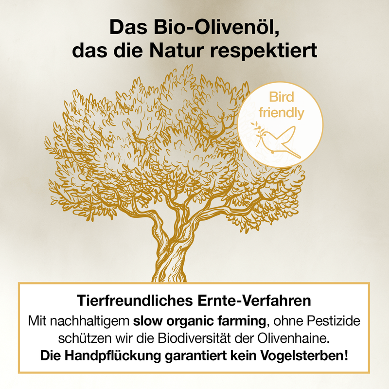 Gezeichneter Olivenbaum mit einer Erklärung zum tierfreundlichen Ernte-Verfahren des gesunden Olivenöls von Oliv PLUS.