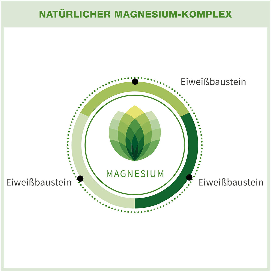 BIO Magnesium Capsules - Phytholistic Magnesium